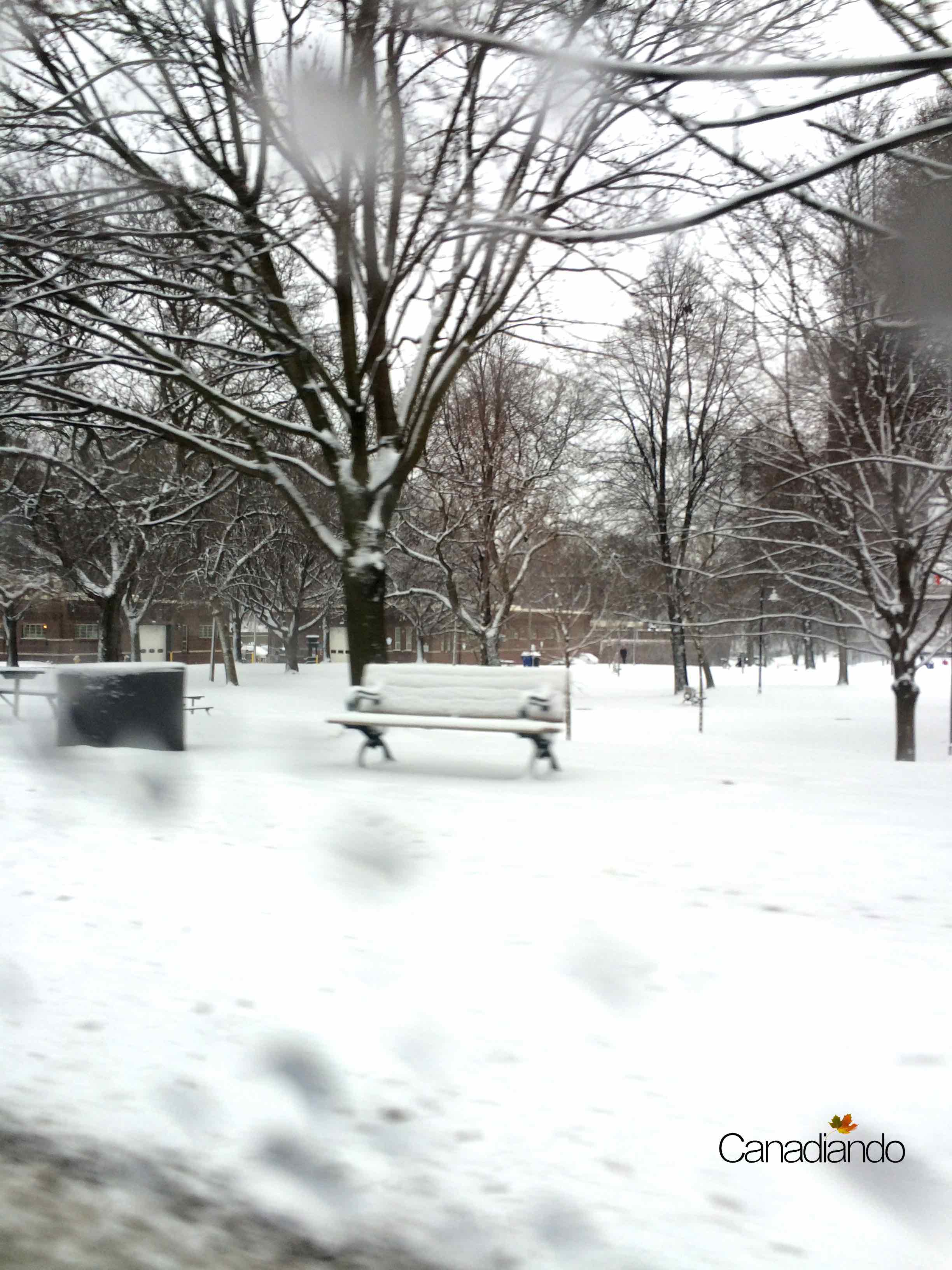 A vida continua, ainda que com neve.