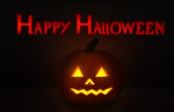 Projeto mães no Canadá: O Halloween está chegando. Veja como curtir com seus filhos uma das datas mais esperadas do ano.