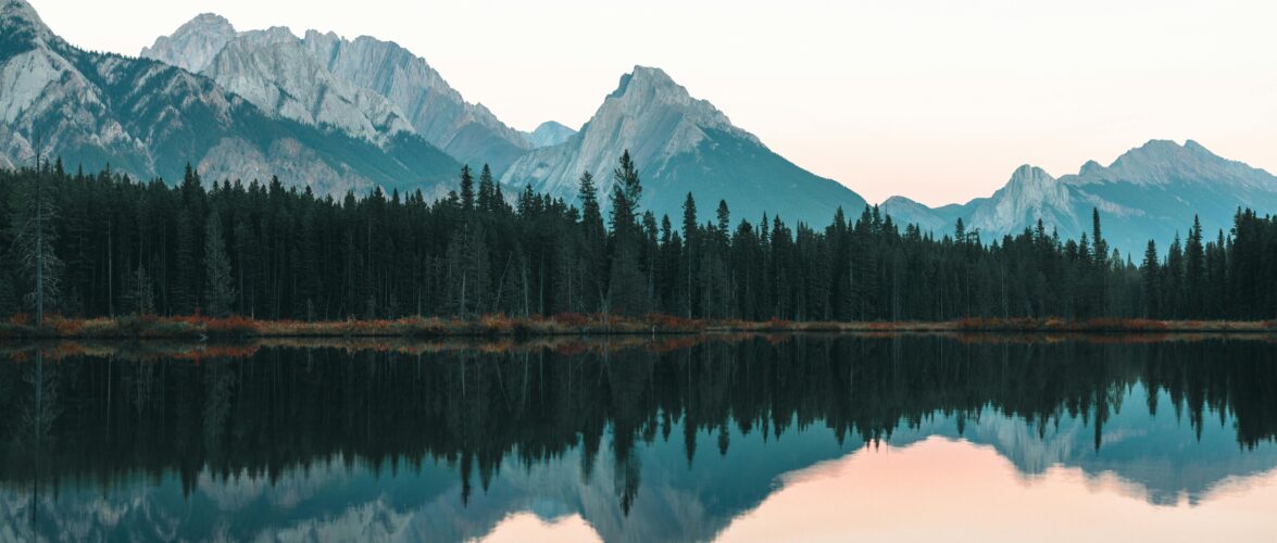 A conexão com a natureza pode transformar sua saúde? Especialistas dizem que sim